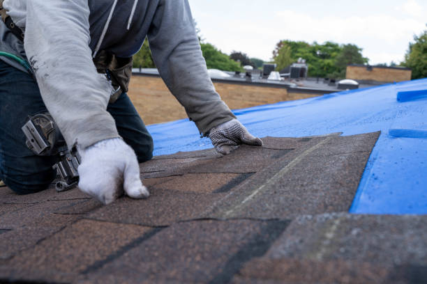 Best Residential Roof Replacement  in Mayfield, PA