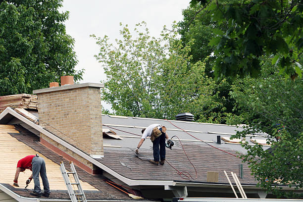 Roof Gutter Cleaning in Mayfield, PA