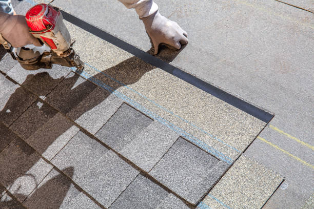 Best Roof Gutter Cleaning  in Mayfield, PA